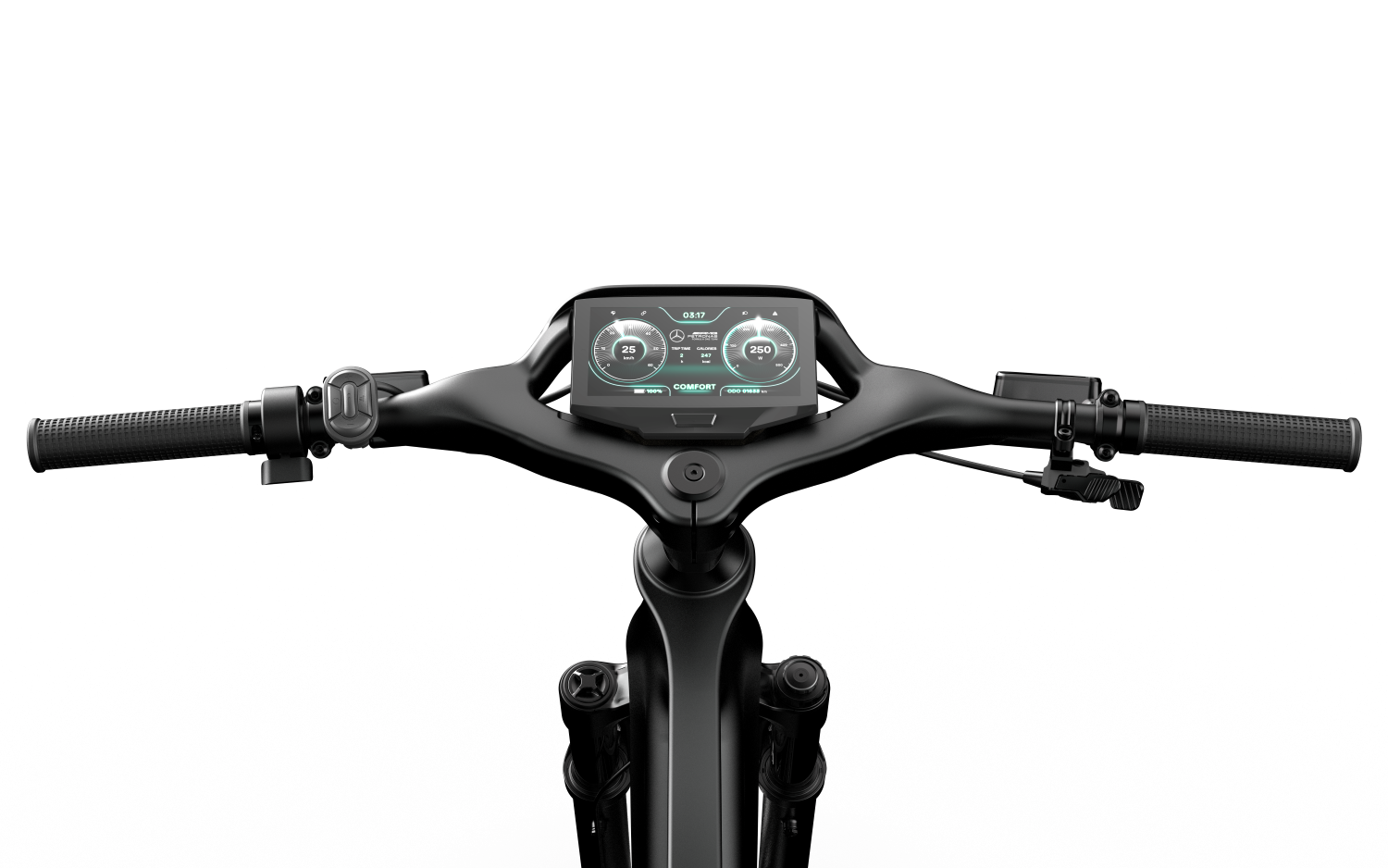 Mercedes-AMG PETRONAS F1® Team Rallye Edition 250 Electric Bike